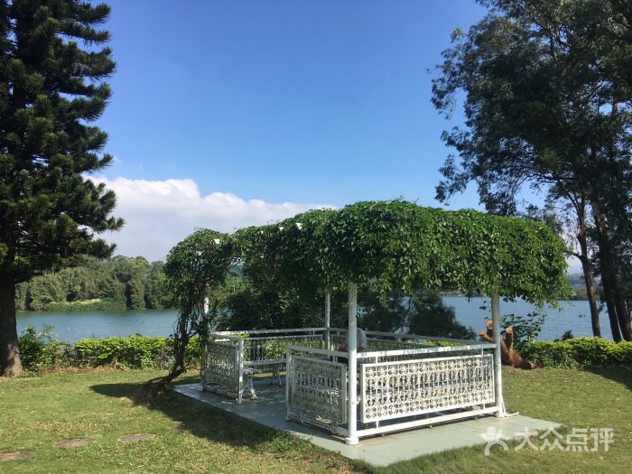 1513158063553127.jpg wPrQ10rZrt1RewAzccBQZ-O1VoIW2kip4ytwdCpLcgv_jP_I98jFaYTL3y7B3xE3TYGVDmosZWTLal1WbWRW3A.jpg